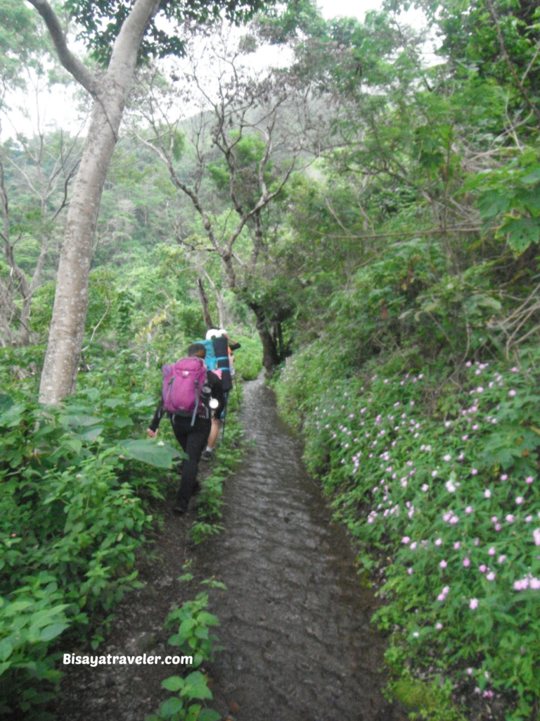 Mount Napulak: Lessons In Resilience From A “Minor” Hike