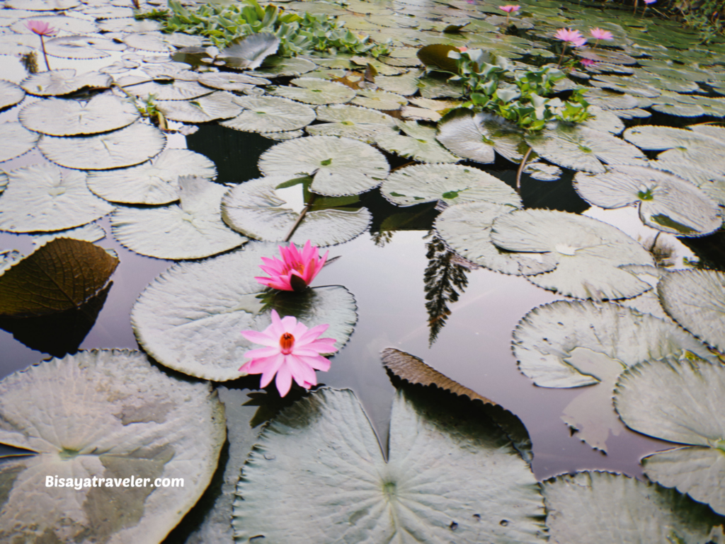 Lake Sebu: A Journey Of Dreams, Detours, And Discoveries