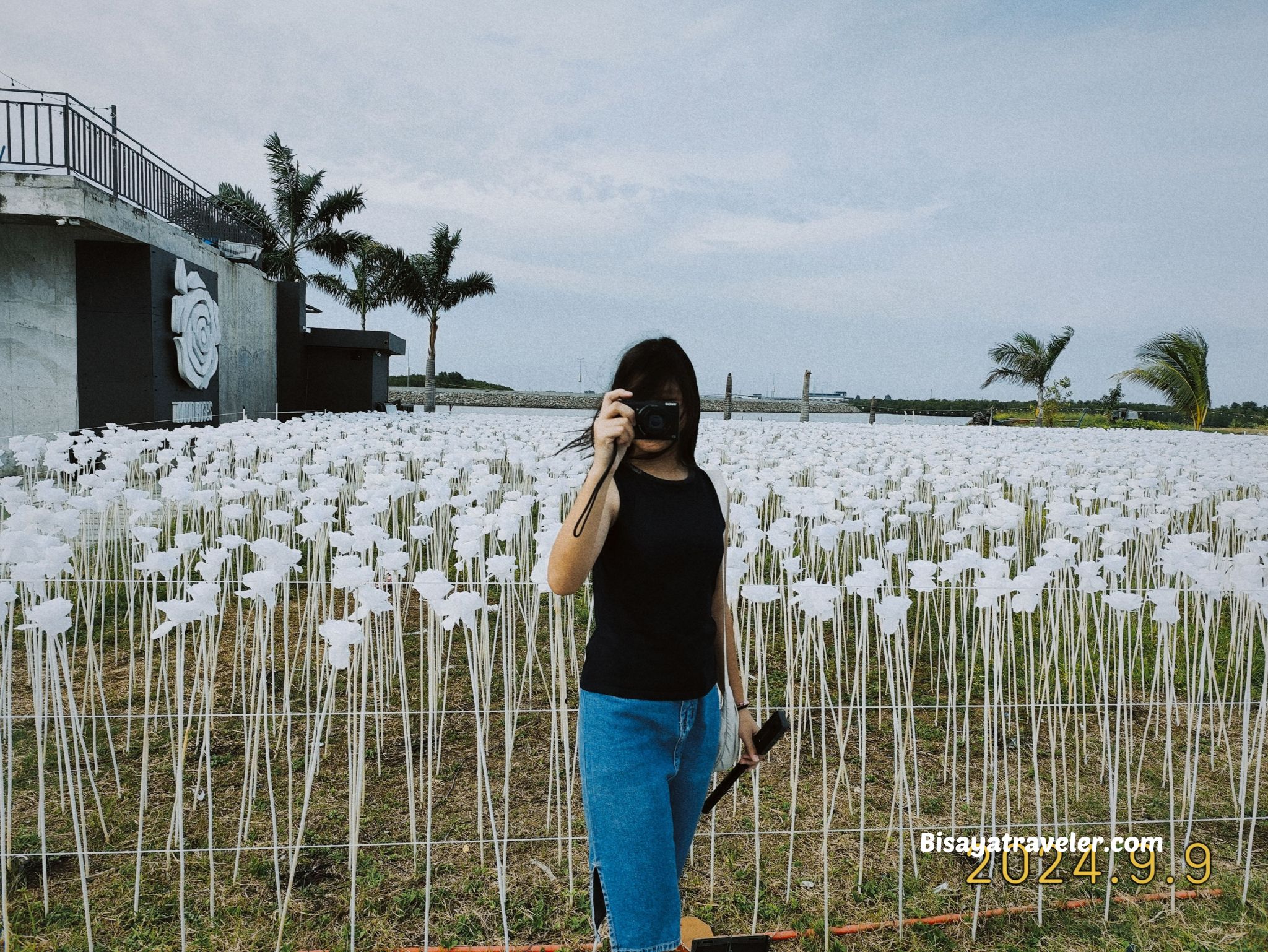 10,000 Roses: How Fake Flowers Led Me To Life’s Real Treasures - The ...