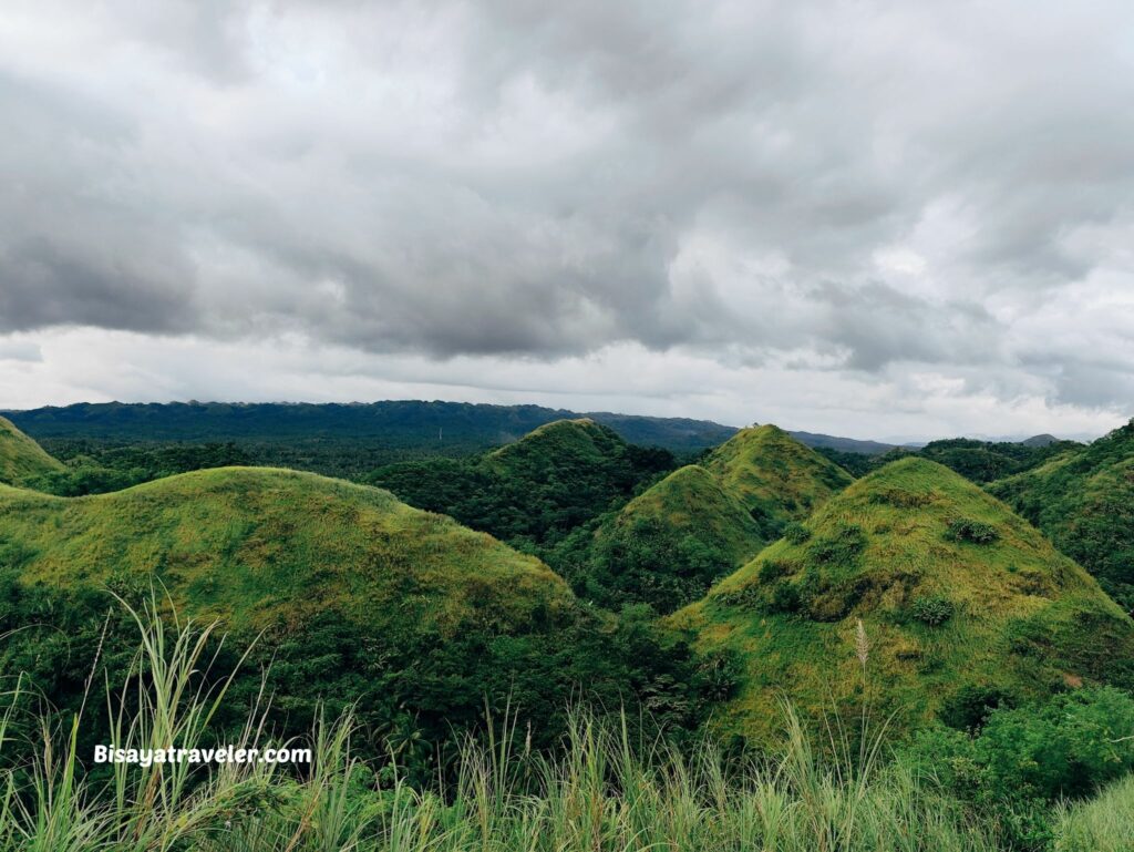 Quitinday Hills And Nature Park:  The Beauty Of An Average Life