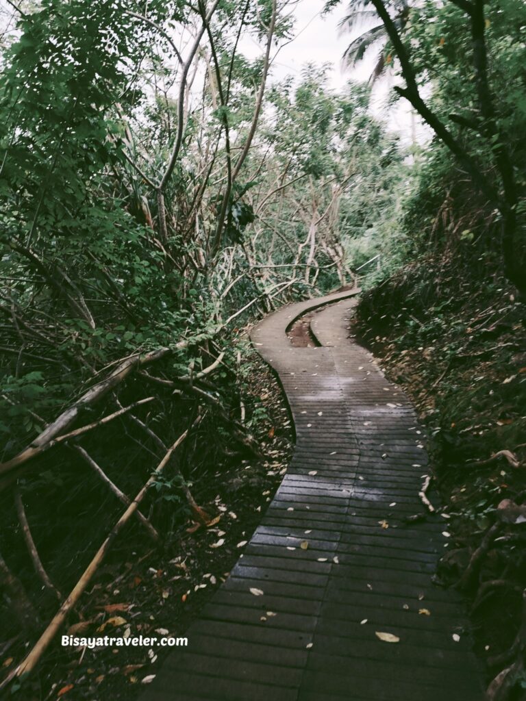 Quitinday Hills And Nature Park:  The Beauty Of An Average Life