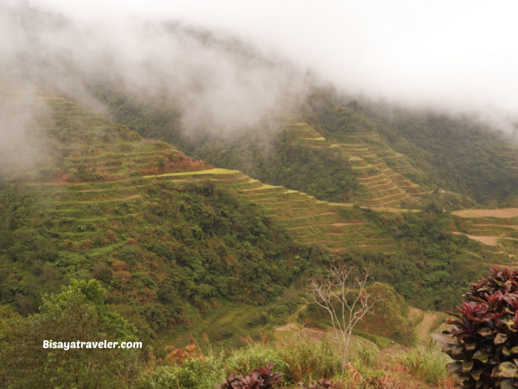 Banaue Rice Terraces: A Google Maps Mistake That Led To An Unforgettable Adventure