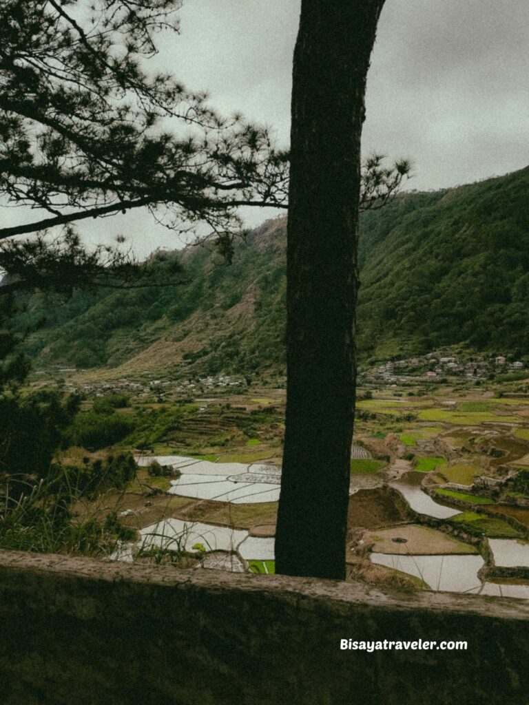 Banaue Rice Terraces: A Google Maps Mistake That Led To An Unforgettable Adventure