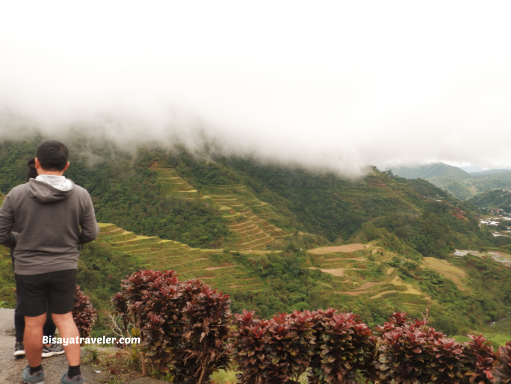 Banaue Rice Terraces: A Google Maps Mistake That Led To An Unforgettable Adventure