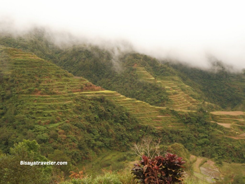 Banaue Rice Terraces: A Google Maps Mistake That Led To An Unforgettable Adventure