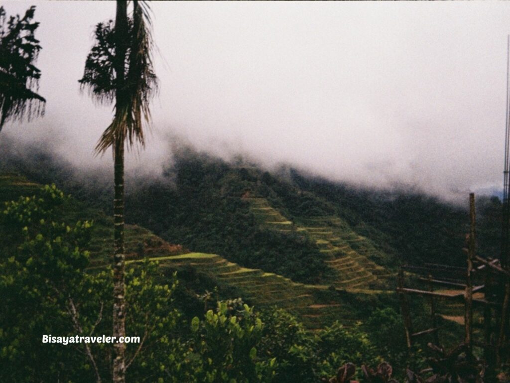 Banaue Rice Terraces: A Google Maps Mistake That Led To An Unforgettable Adventure