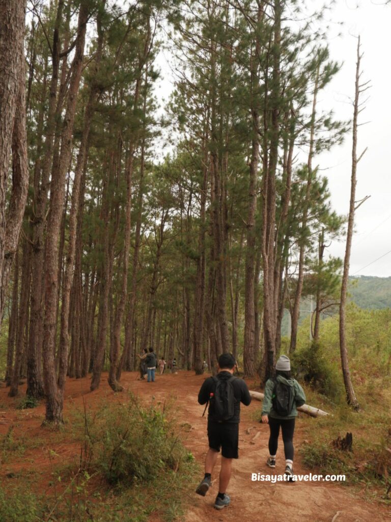 Sagada: That Thing Called Adventure (And Sofia)