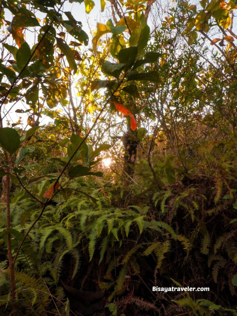 Musuan Peak: The Humble Volcano That Secretly Teaches Why Change Is Beautiful