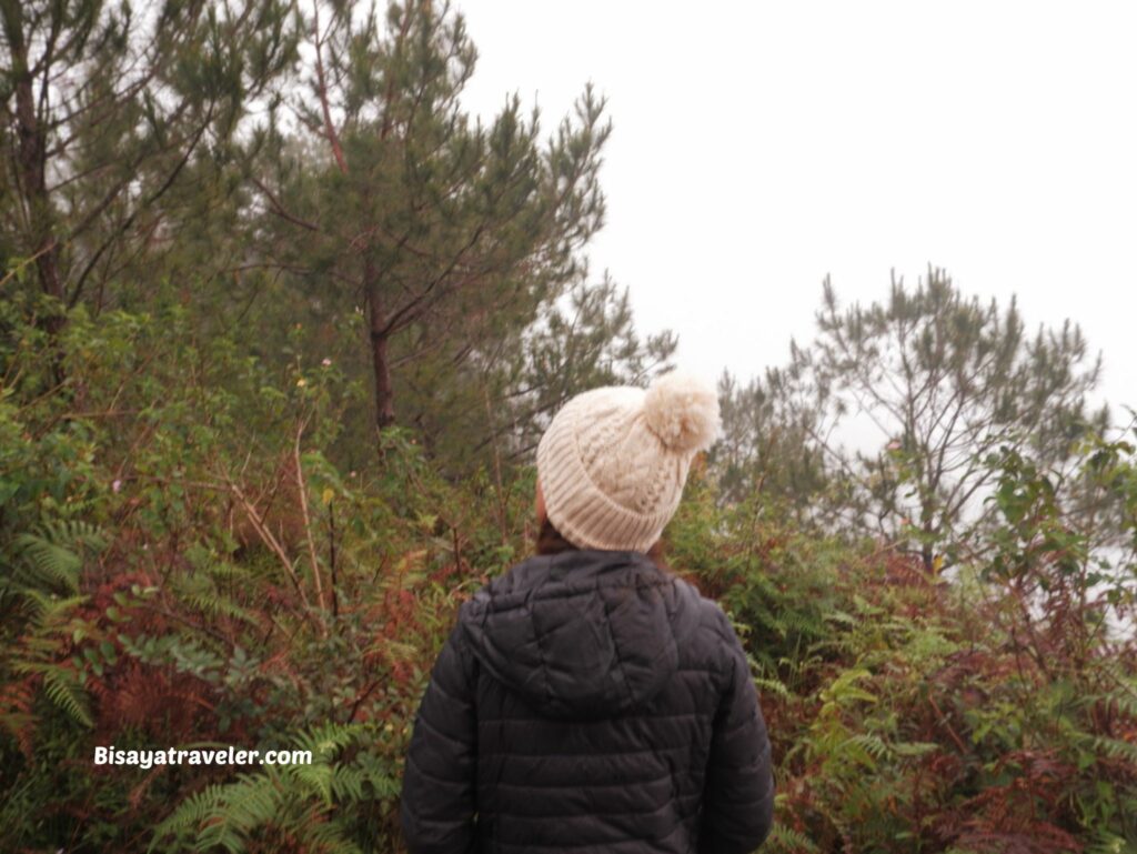 Blue Soil Hills Wasn’t Instagram-Perfect, But It Was Unexpectedly Beautiful