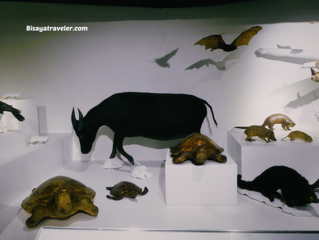 National Museum Of Natural History:  The Things We Miss While Scrolling