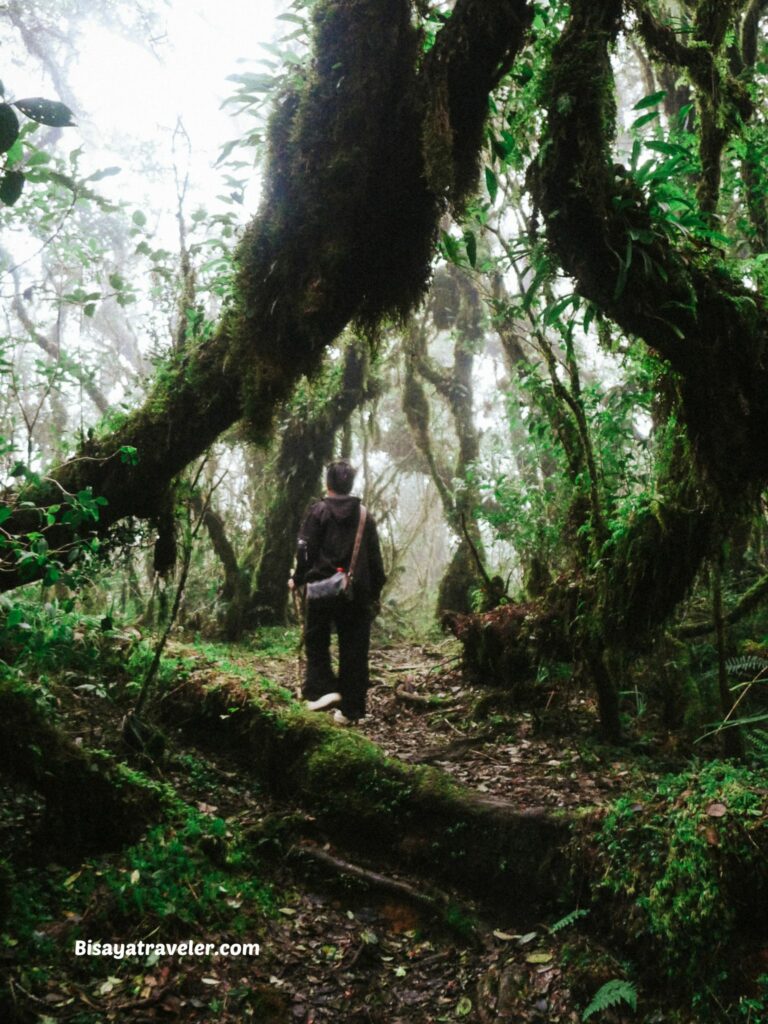 Mount Purgatory And The 6 People We Meet In The Mountains