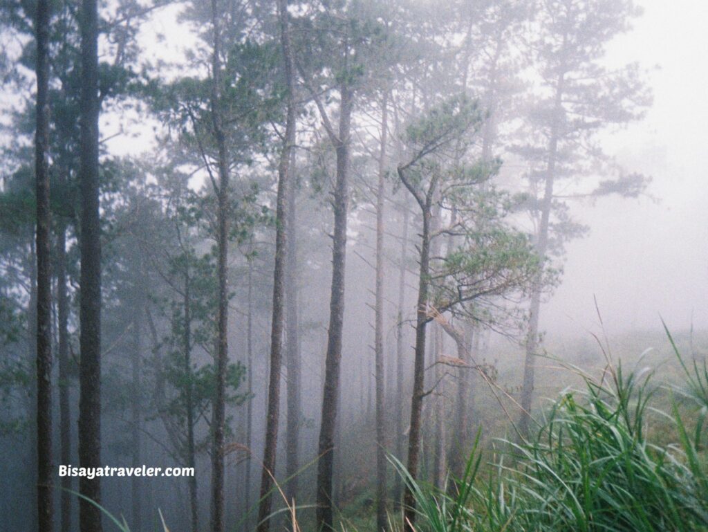 Mount Purgatory And The 6 People We Meet In The Mountains