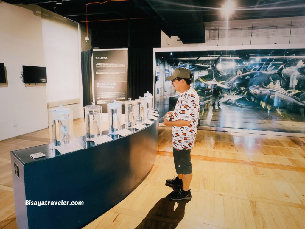 National Museum Of Natural History:  The Things We Miss While Scrolling