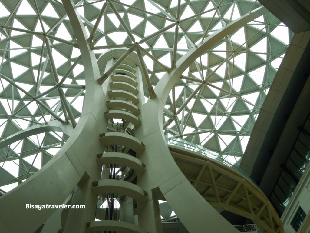 National Museum Of Natural History:  The Things We Miss While Scrolling