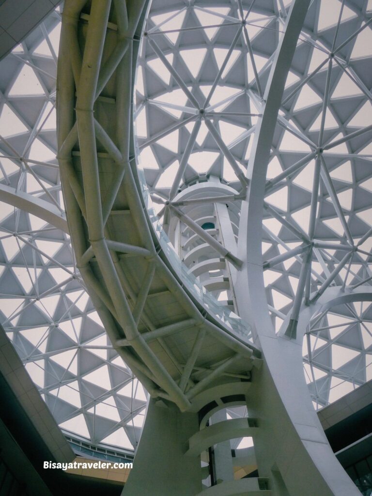 National Museum Of Natural History:  The Things We Miss While Scrolling