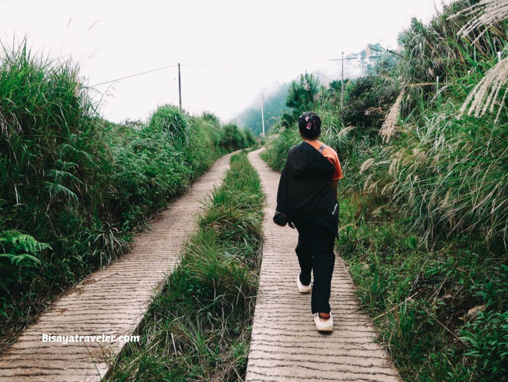 Mount Purgatory And The 6 People We Meet In The Mountains