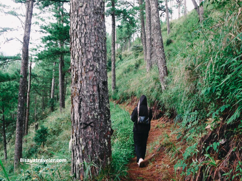 Mount Purgatory And The 6 People We Meet In The Mountains