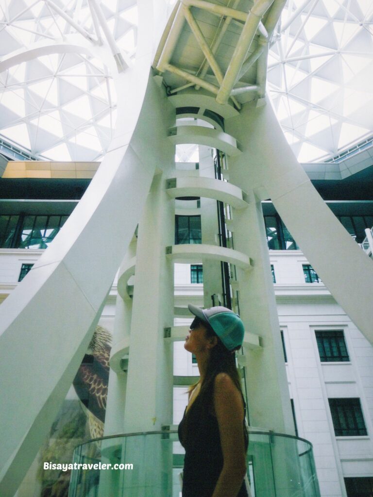 National Museum Of Natural History:  The Things We Miss While Scrolling