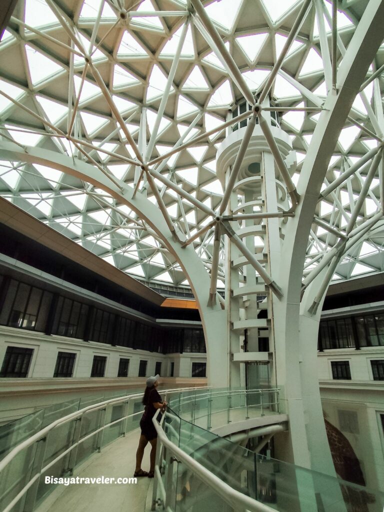 National Museum Of Natural History:  The Things We Miss While Scrolling