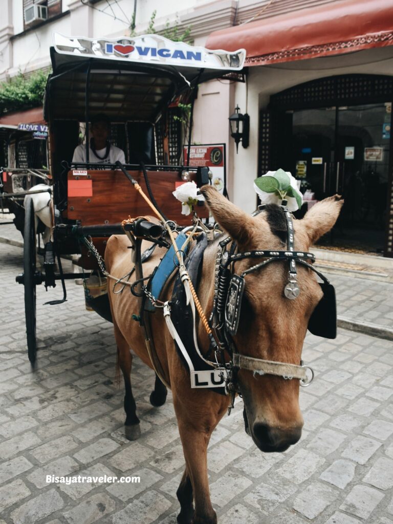 Calle Crisologo & The Quiet Art of Letting Go