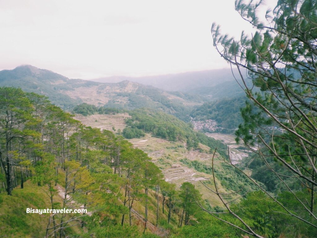 Bauko 7 Peaks: The Truth About Illusions And Limits