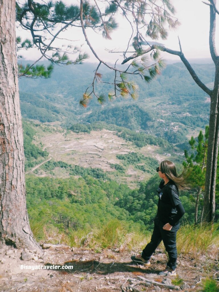 Bauko 7 Peaks: The Truth About Illusions And Limits