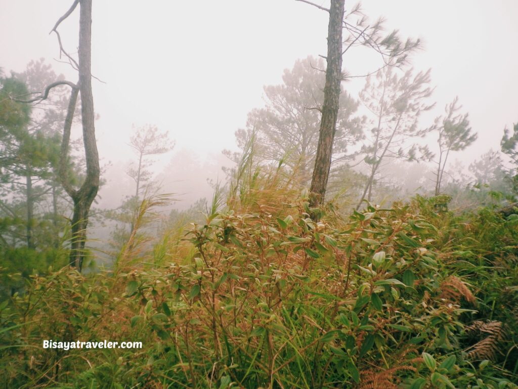 Bauko 7 Peaks: The Truth About Illusions And Limits