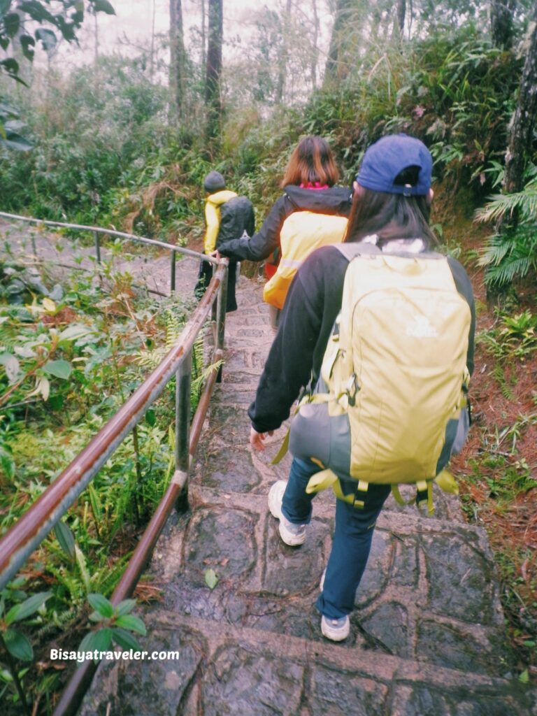 Bauko 7 Peaks: The Truth About Illusions And Limits