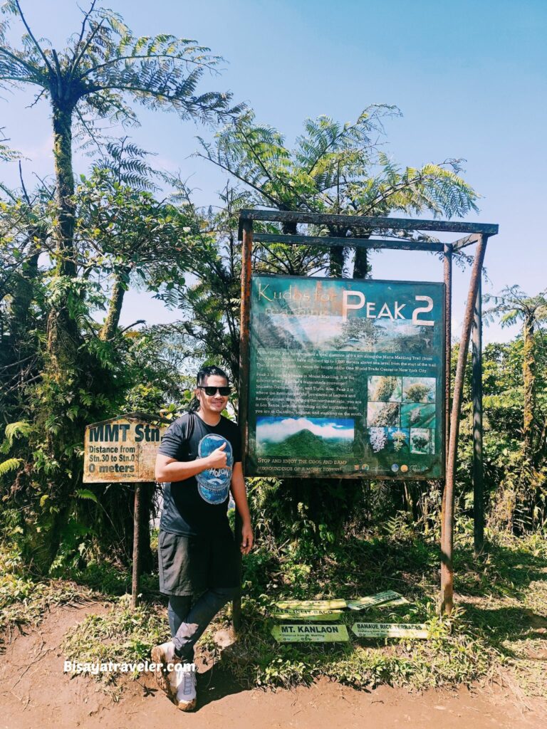Mt. Makiling And The Rare Rafflesias Most People Will Never See
