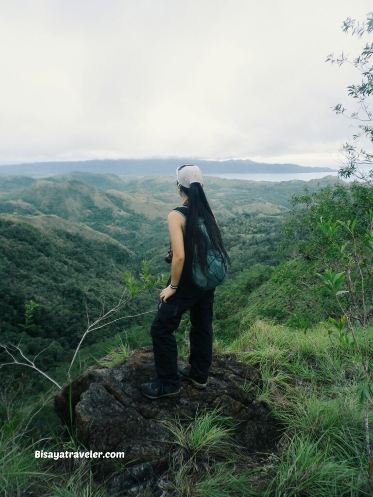 Buko Buko Sa Anay, Bohol: The Truth About Chasing Success