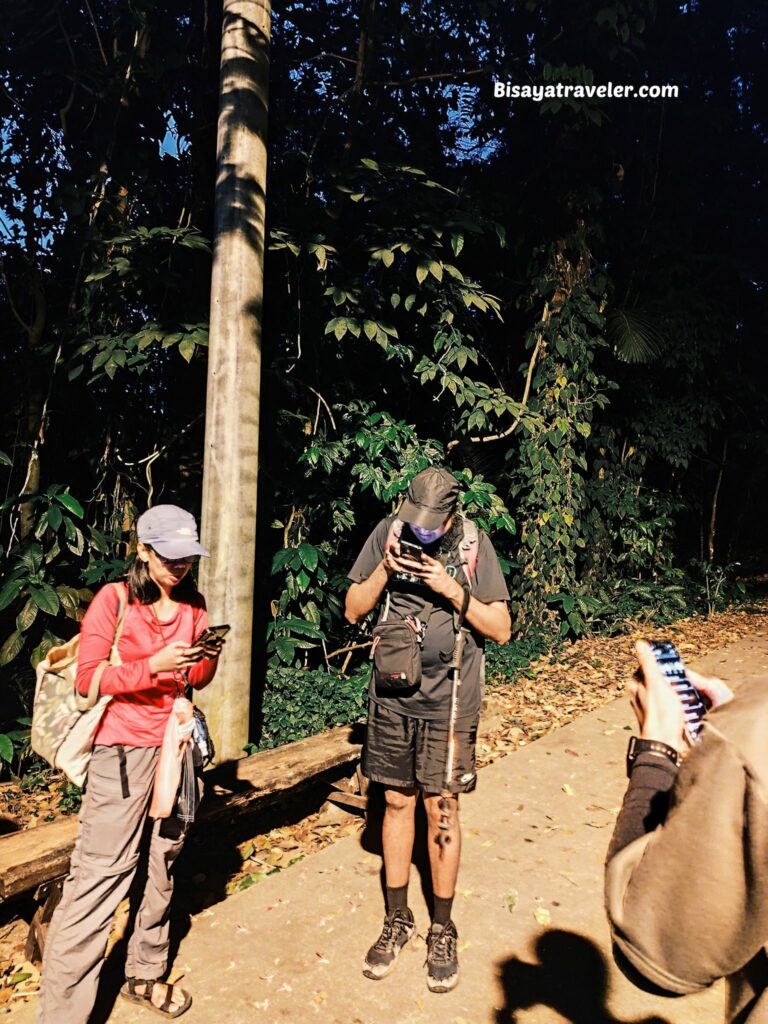Mt. Makiling And The Rare Rafflesias Most People Will Never See