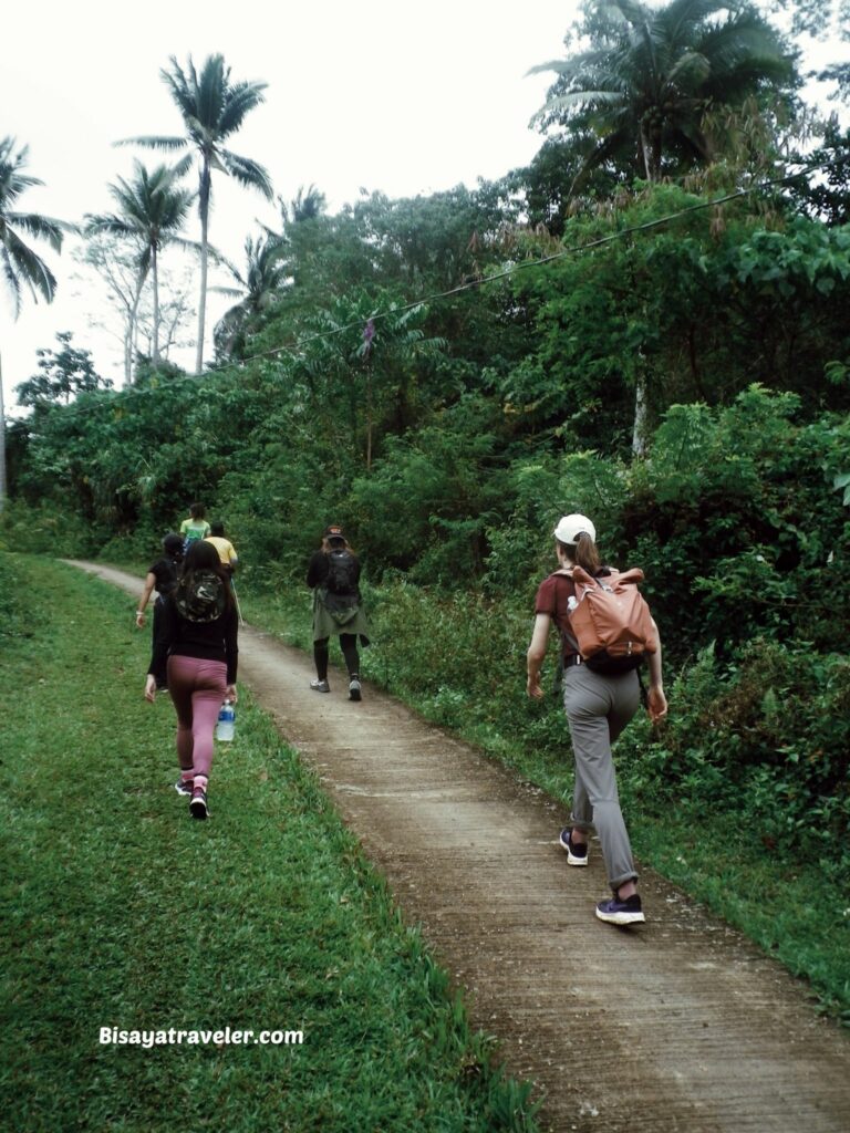 Buko Buko Sa Anay, Bohol: The Truth About Chasing Success