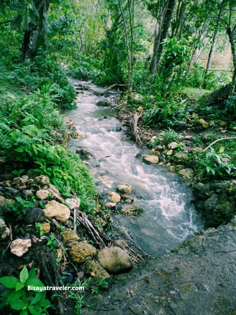 Buko Buko Sa Anay, Bohol: The Truth About Chasing Success