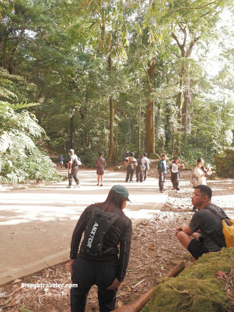 Mt. Makiling And The Rare Rafflesias Most People Will Never See