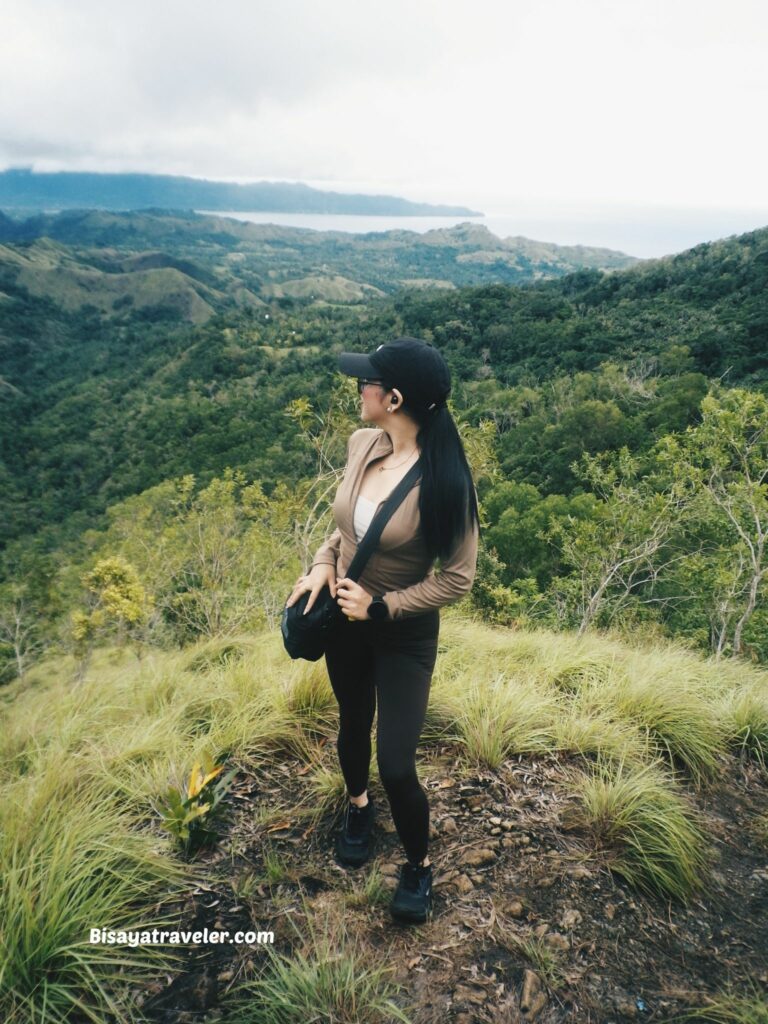 Buko Buko Sa Anay, Bohol: The Truth About Chasing Success