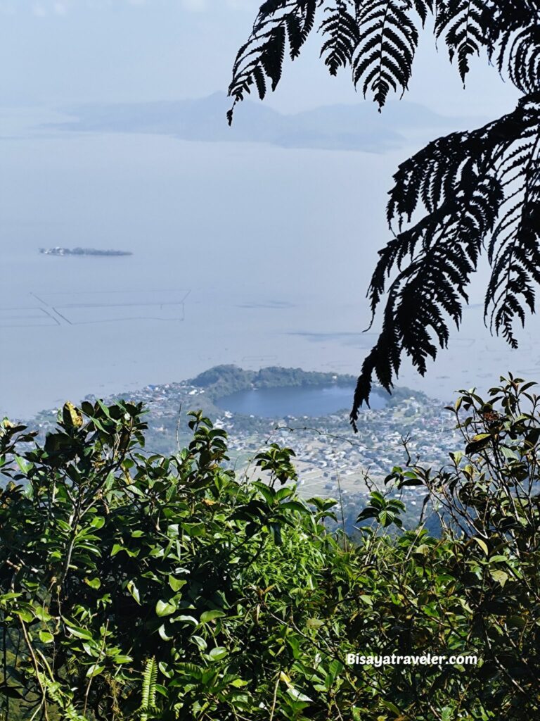 Mt. Makiling And The Rare Rafflesias Most People Will Never See