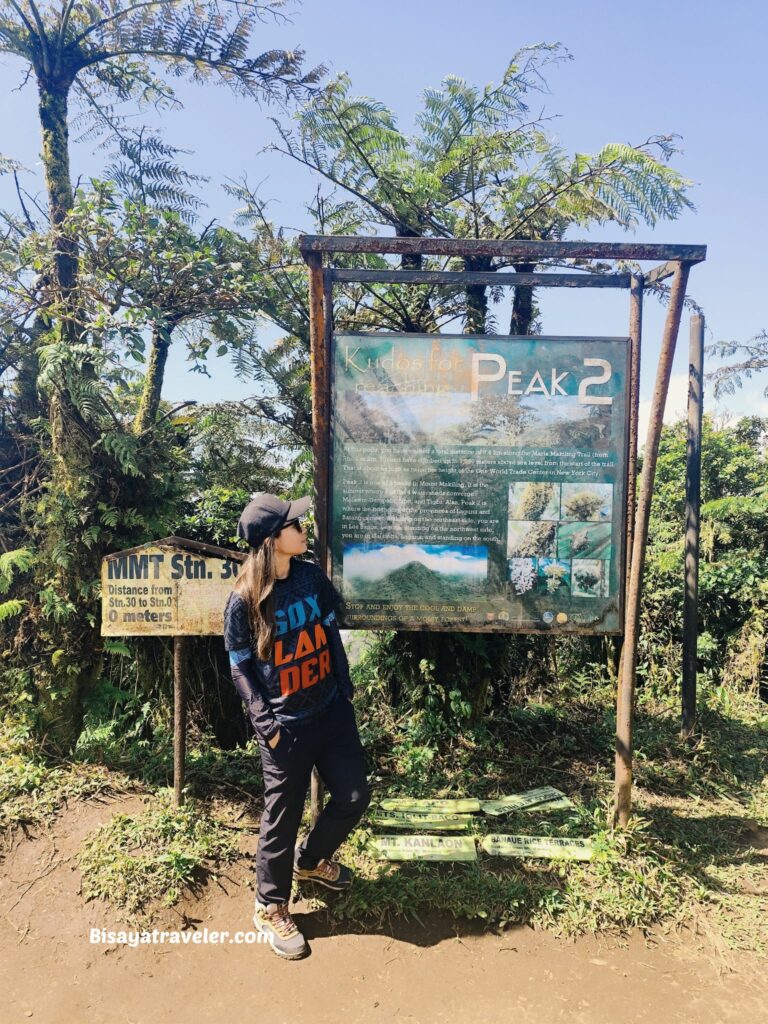 Mt. Makiling And The Rare Rafflesias Most People Will Never See