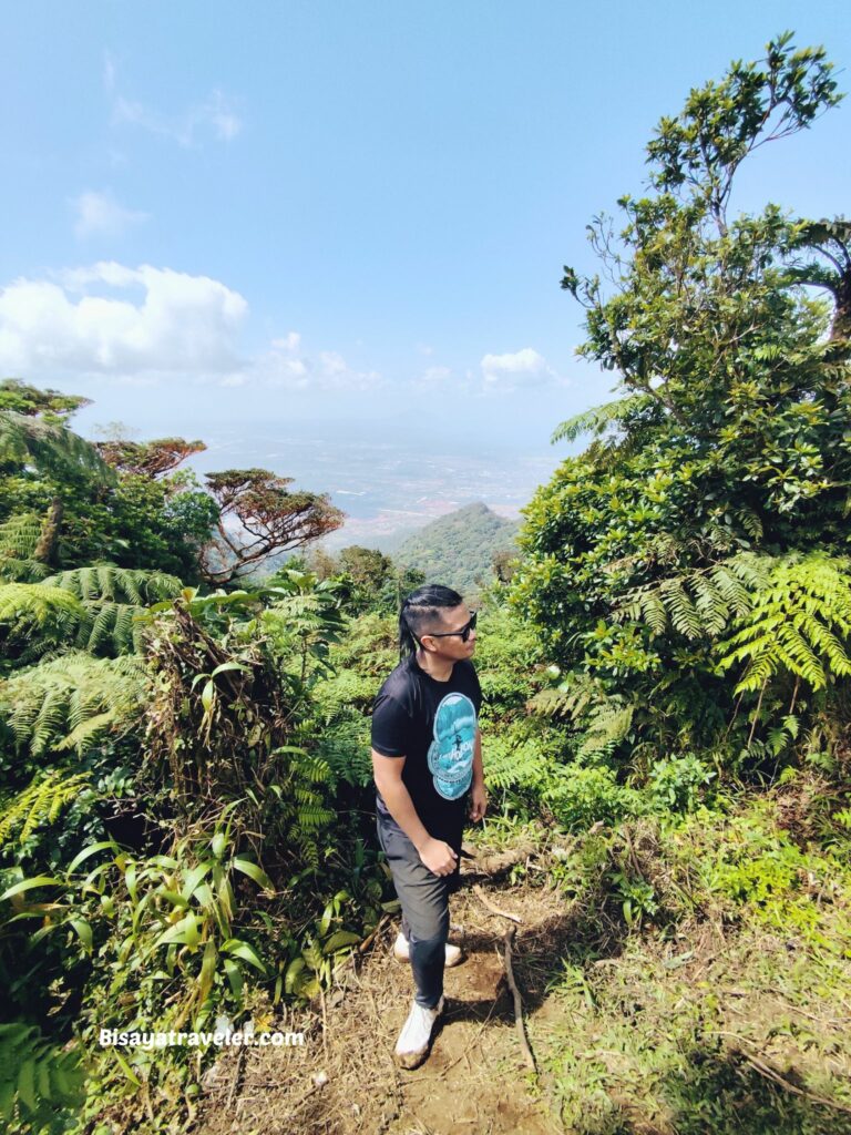 Mt. Makiling And The Rare Rafflesias Most People Will Never See