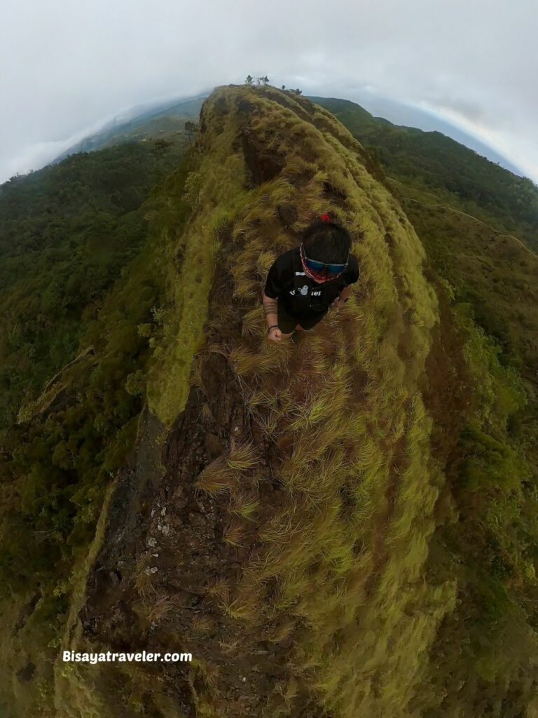 Buko Buko Sa Anay, Bohol: The Truth About Chasing Success
