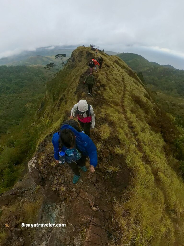 Buko Buko Sa Anay, Bohol: The Truth About Chasing Success