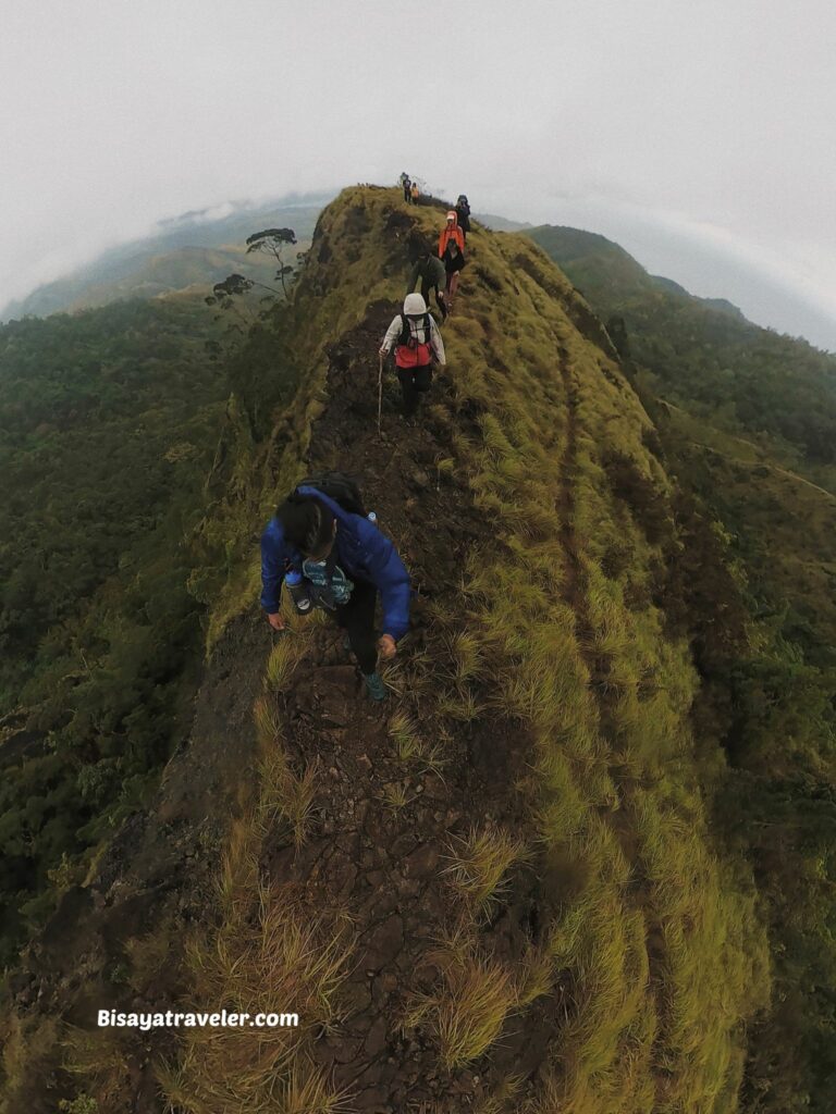 Buko Buko Sa Anay, Bohol: The Truth About Chasing Success