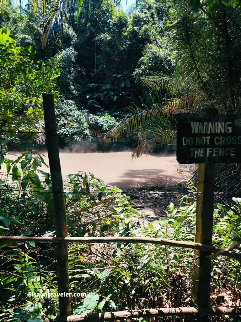 Mt. Makiling And The Rare Rafflesias Most People Will Never See