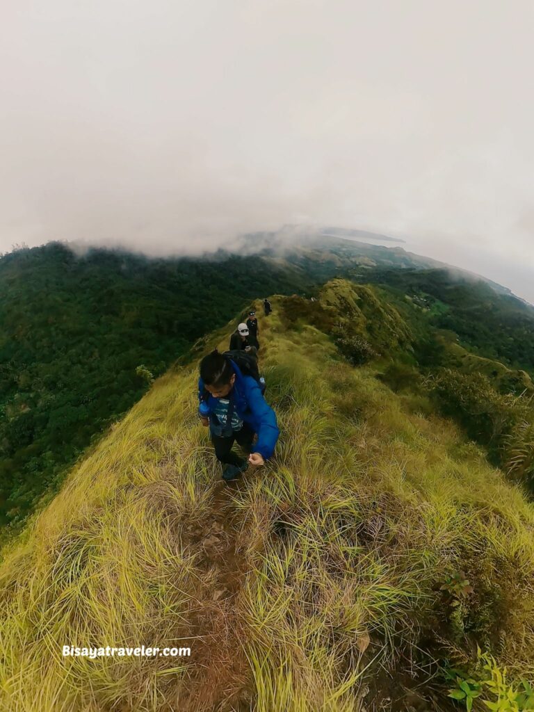 Buko Buko Sa Anay, Bohol: The Truth About Chasing Success