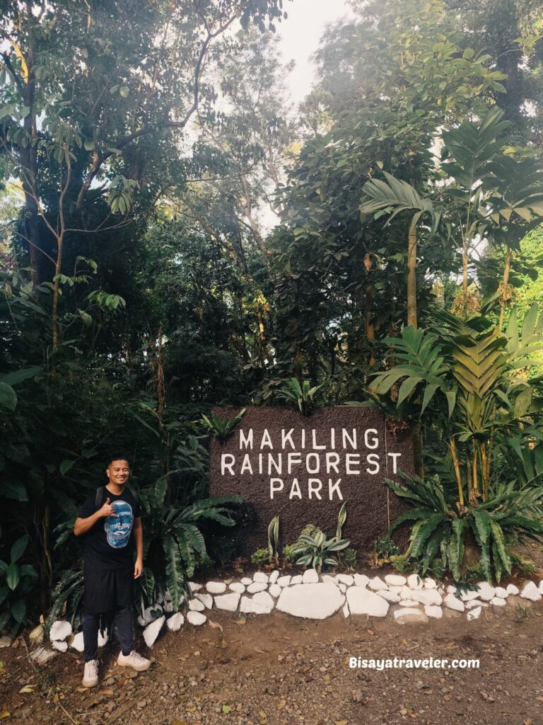 Mt. Makiling And The Rare Rafflesias Most People Will Never See