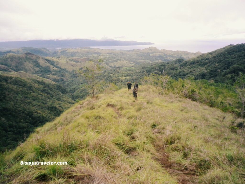 Buko Buko Sa Anay, Bohol: The Truth About Chasing Success
