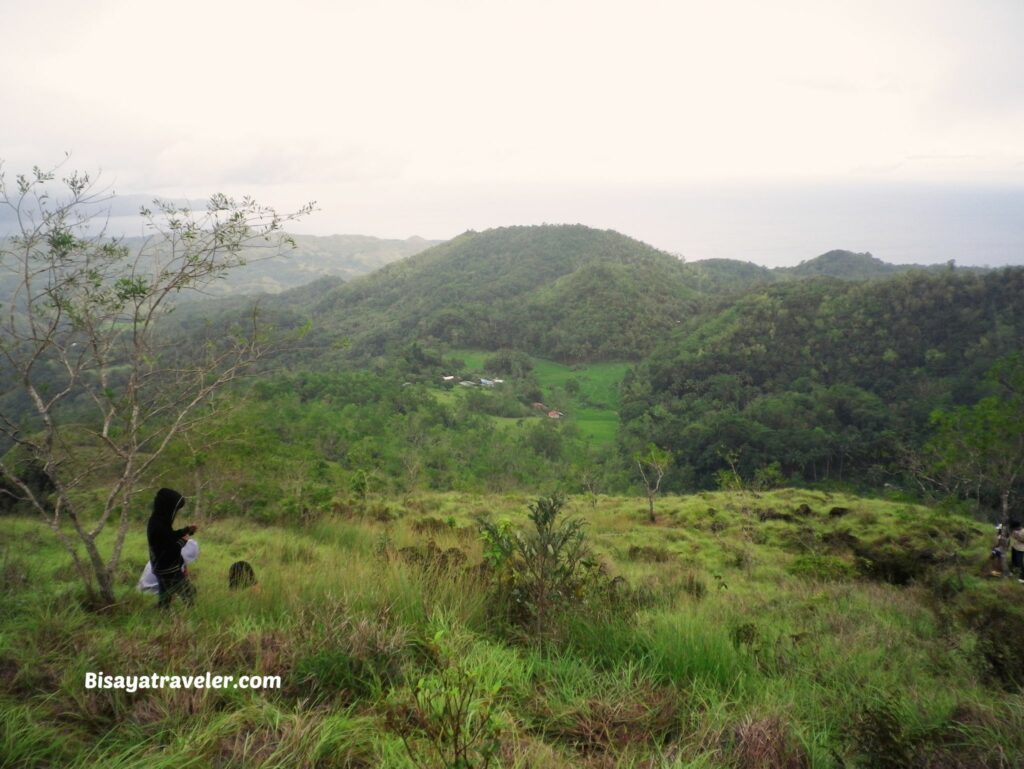 Buko Buko Sa Anay, Bohol: The Truth About Chasing Success