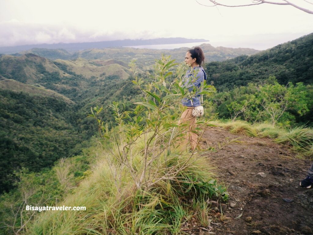 Buko Buko Sa Anay, Bohol: The Truth About Chasing Success