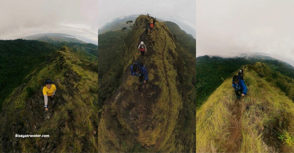 Buko Buko Sa Anay, Bohol: The Truth About Chasing Success