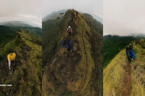 Buko Buko Sa Anay, Bohol: The Truth About Chasing Success