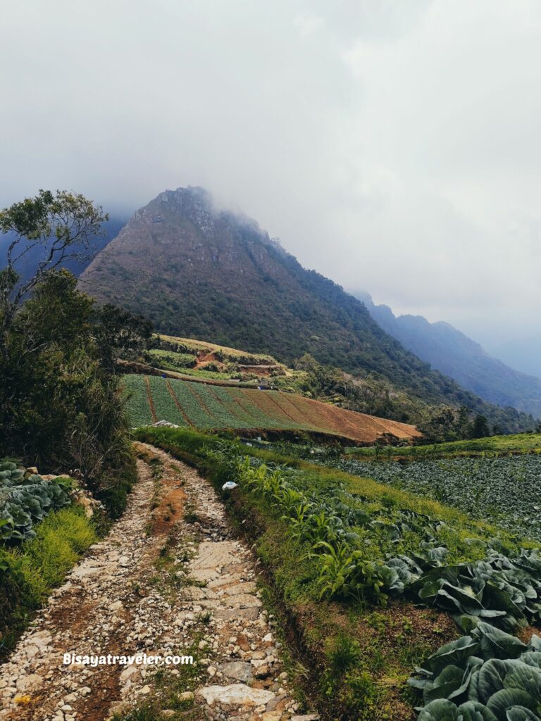 Mt Tenglawan And The People Who Have To Die On The Climb